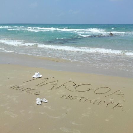 Margoa Hotel Νετάνια Εξωτερικό φωτογραφία